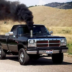 NorthernCompass's Avatar'