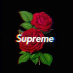 Vyral_Rose's Avatar'