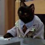 L.P.Moraes's Avatar'