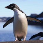 Jonesy0421's Avatar'