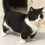 TwoFishyR6's Avatar'