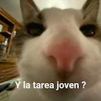 ImAbaddon's Avatar'
