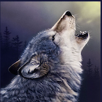 WereWolf77...'s Avatar'