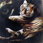 FREEL0 BAN's Avatar'