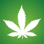 Danny_Di's Avatar'