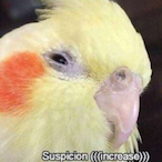 ActualBird0611's Avatar'
