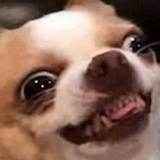 Kasper_Ghost_RU's Avatar'