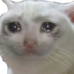 SadMeoWy's Avatar'