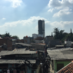 sensitive_nut711's Avatar'