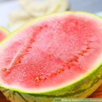 Peanut fragn's Avatar'