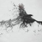 Munin.-'s Avatar'