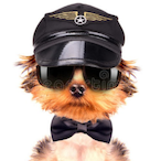 BATTLE_TACO's Avatar'