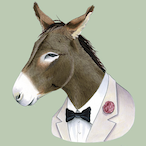 ConDonkey5's Avatar'