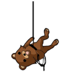 RappellingBear's Avatar'