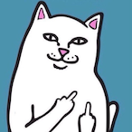 EkkoO_942's Avatar'