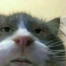 sillymoose69
