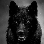 L1P3_ESC0B4R's Avatar'