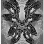 Metatron.exe's Avatar'