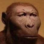 Dubiouslilgravy's Avatar'