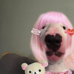 DeathDara's Avatar'