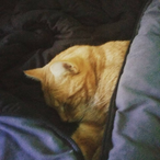 baxternorton41's Avatar'