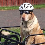 Dr Satan v2's Avatar'