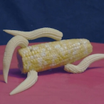 CornHubxxx's Avatar'