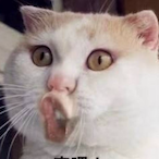 Henrichguy's Avatar'