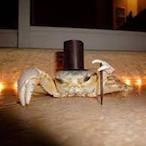 CommandeerCrab's Avatar'