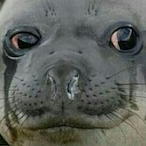 CheapTuna's Avatar'