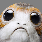 AndyPorg's Avatar'