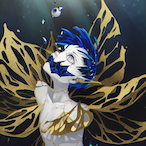 Z3nk0.'s Avatar'