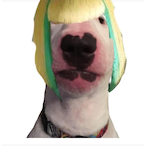 Ela_en_dog's Avatar'