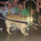 salmon-sushi's Avatar'