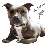 IreFilledMonkey's Avatar