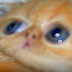 murqthirtyy's Avatar'