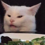 frozen_cat's Avatar'