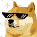 SuchCoolWOW's Avatar'