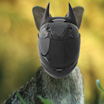 ThumperMoto's Avatar'