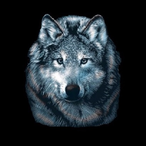 Silver_Shaman's Avatar