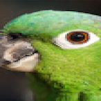 Cloorby's Avatar'