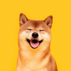 Plastik-Forke's Avatar'