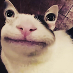 JojoHDgamer's Avatar'
