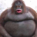 daveypooh's Avatar'