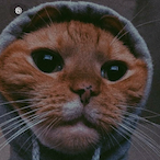 Splashy_R7's Avatar'