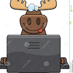 MrMooseClicks's Avatar'