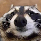 Orbitalka0ss's Avatar'