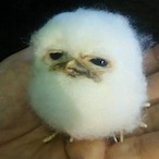 Mondaymorningg's Avatar'