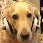 NeoJima's Avatar'