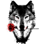 IIllIGIllII's Avatar'